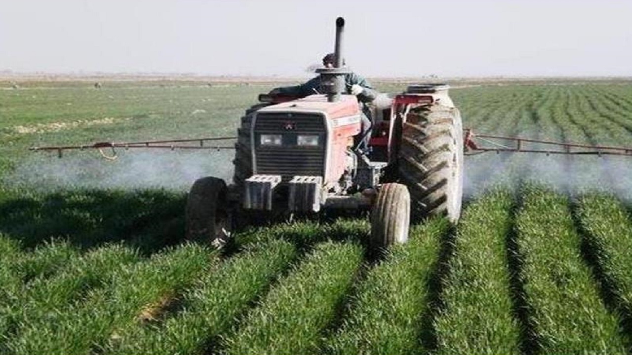 لزوم مبارزه بموقع با عوامل خسارتزا در مزارع گندم و جو