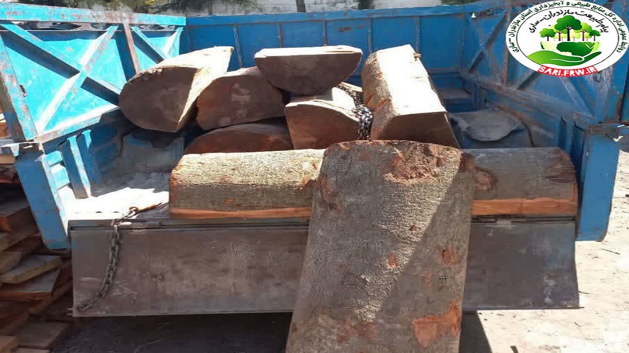 کشف چوب قاچاق در آمل