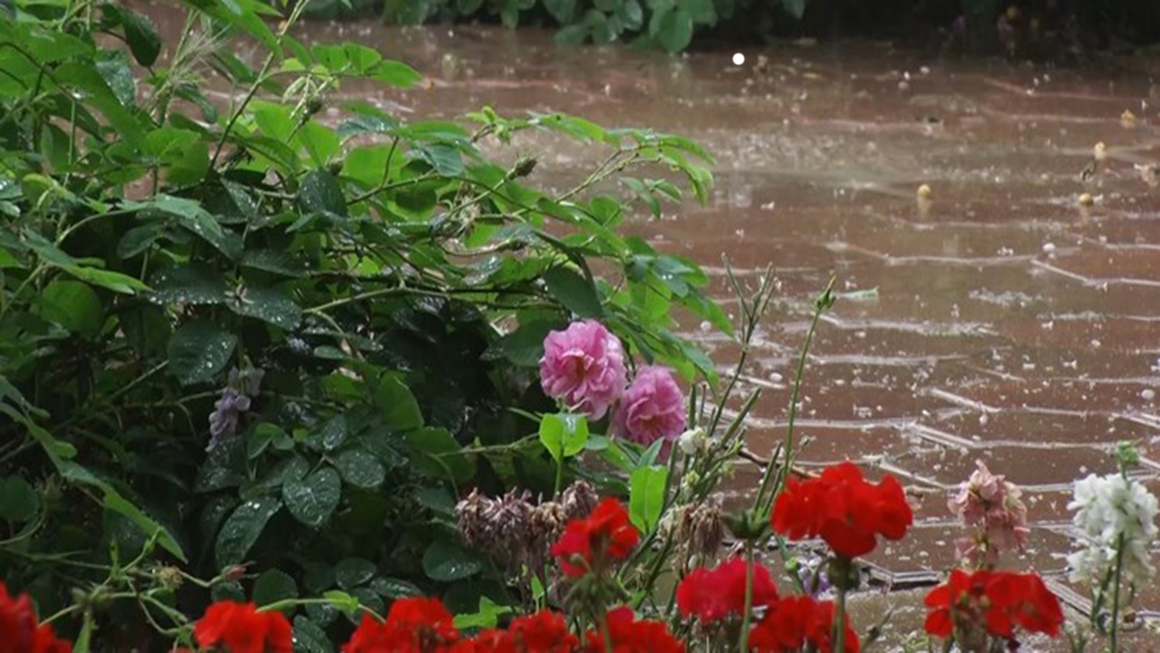 بارش‌های رگباری و بهاری فارس را فرا می گیرد