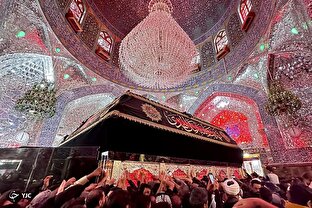 زائران حرم امام علی( ع)