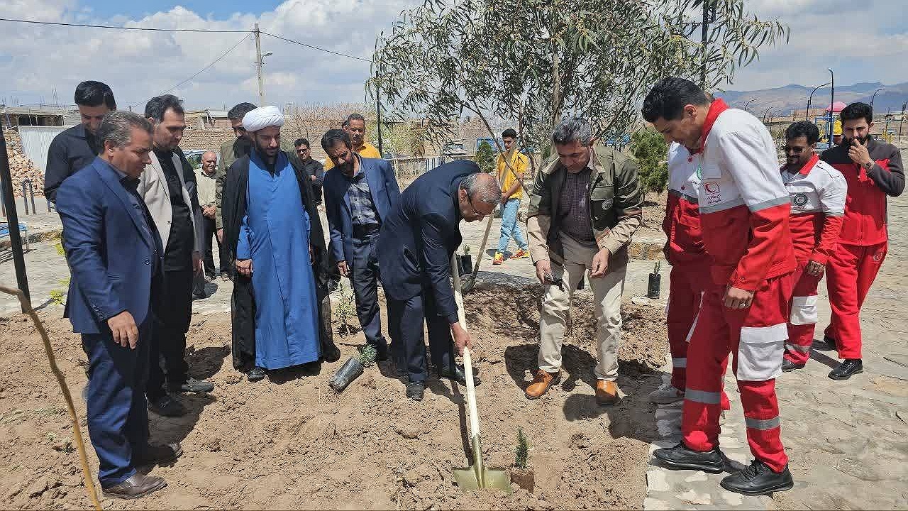 کاشت قریب به ۳۰ هزار اصله درخت در زرند