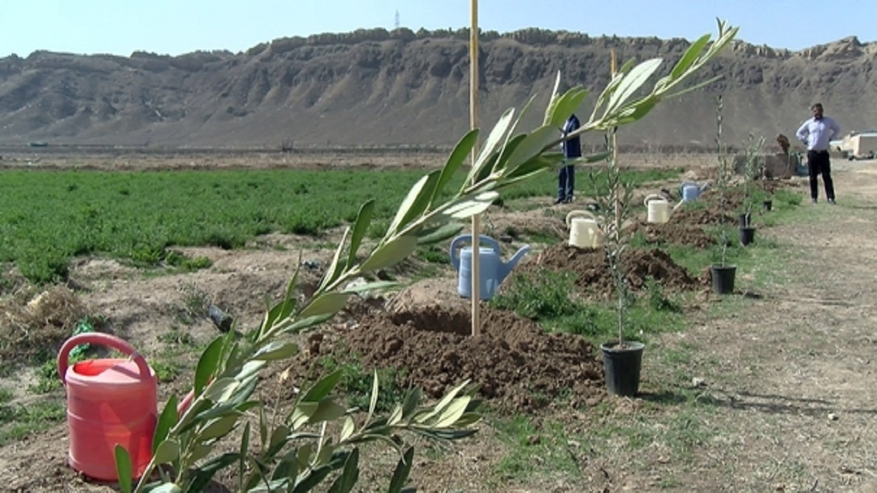 کاشت دوهزار نهال همزمان با روز طبیعت در قم