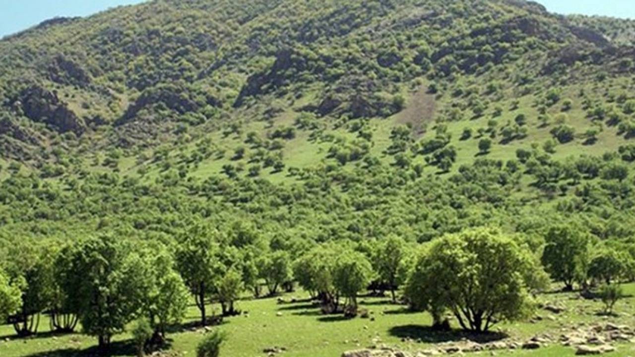 روز طبیعت امسال هیچ خسارتی به منابع طبیعی وارد نشد