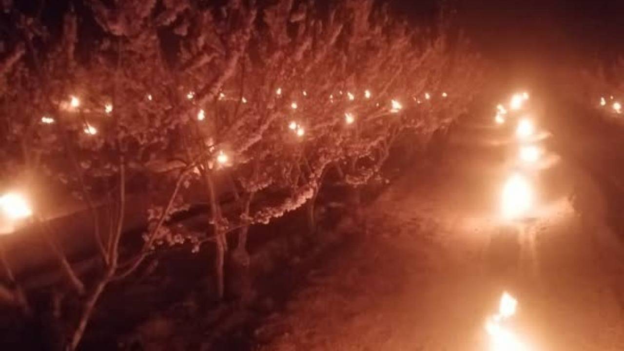 بخاری‌های کوچک به جنگ سرمازدگی می‌آیند