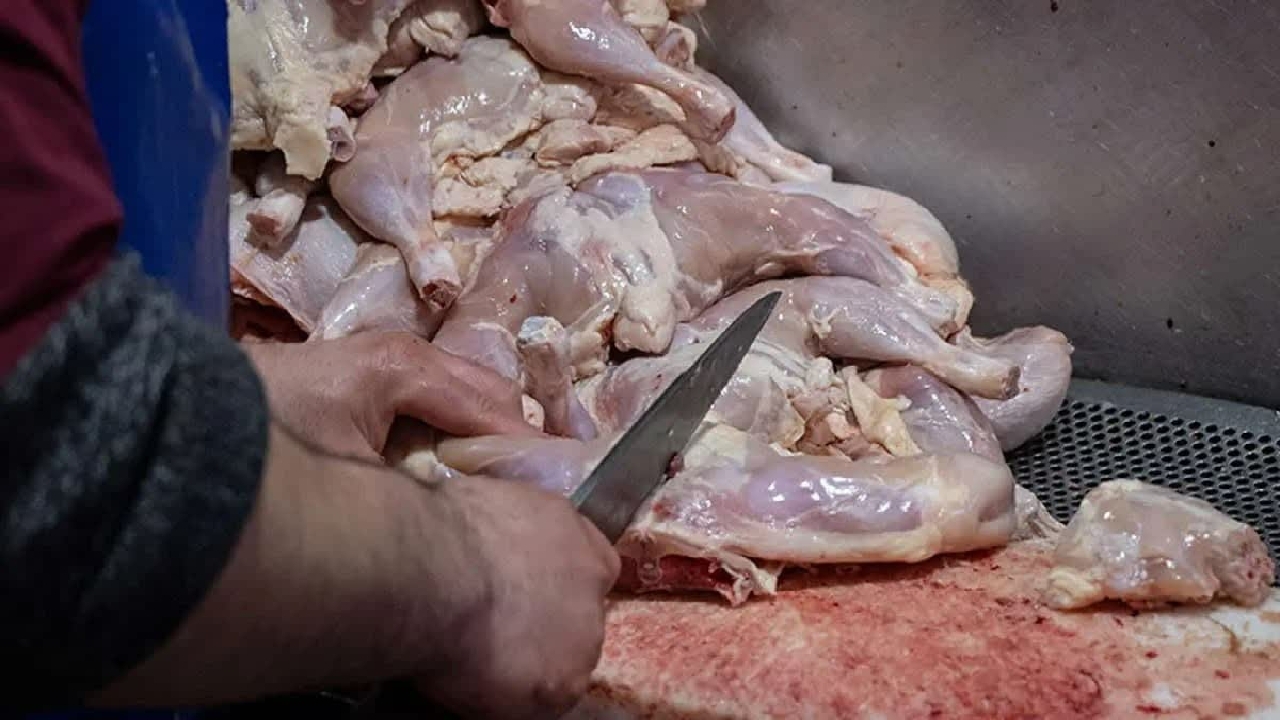 ضبط۱۳۰ کیلوگرم مرغ قطعه‌بندی‌شده غیرمجاز در قزوین