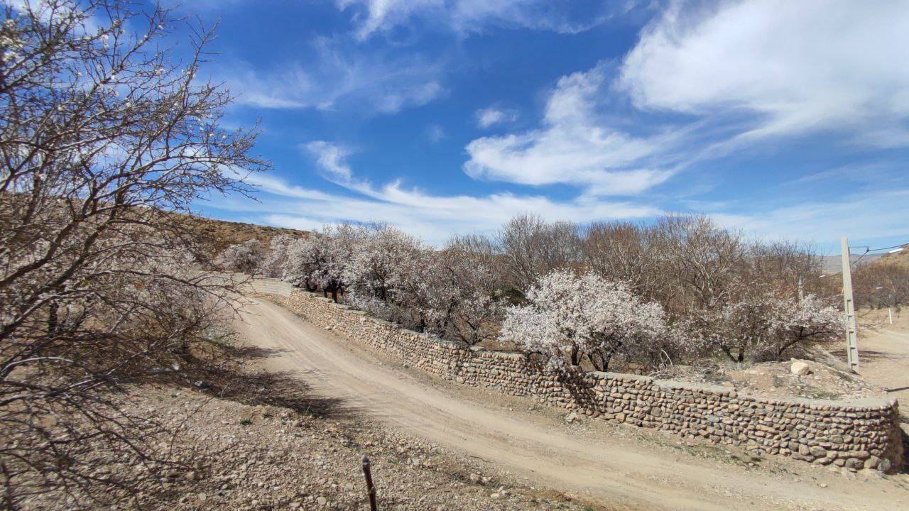 طبیعت بهاری روستا