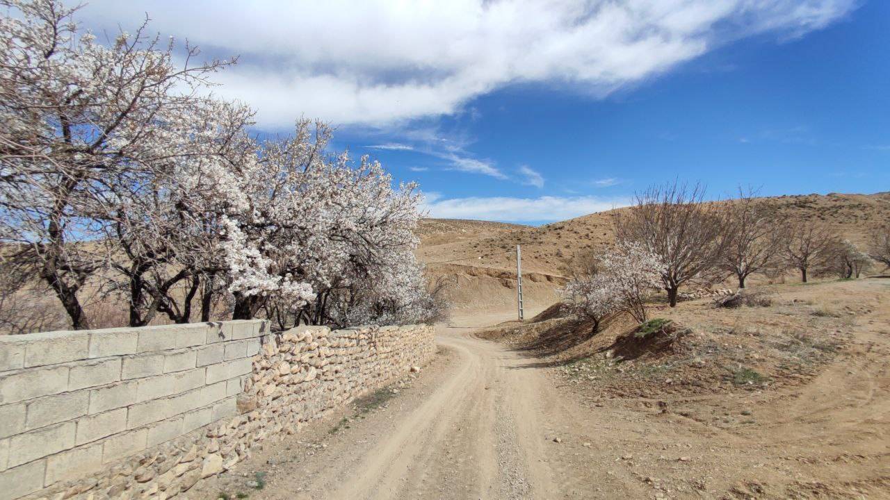 طبیعت روستا