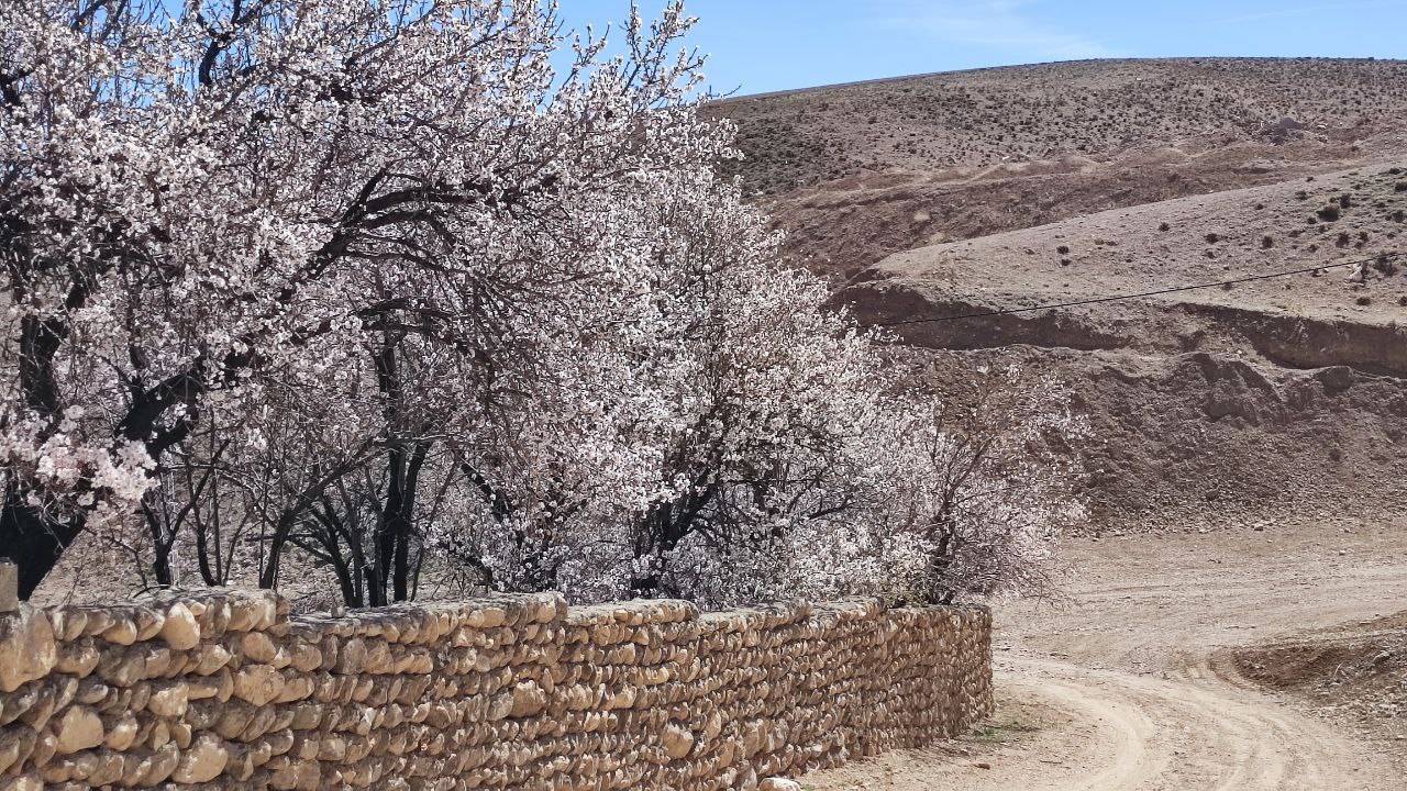 طبیعت بهاری