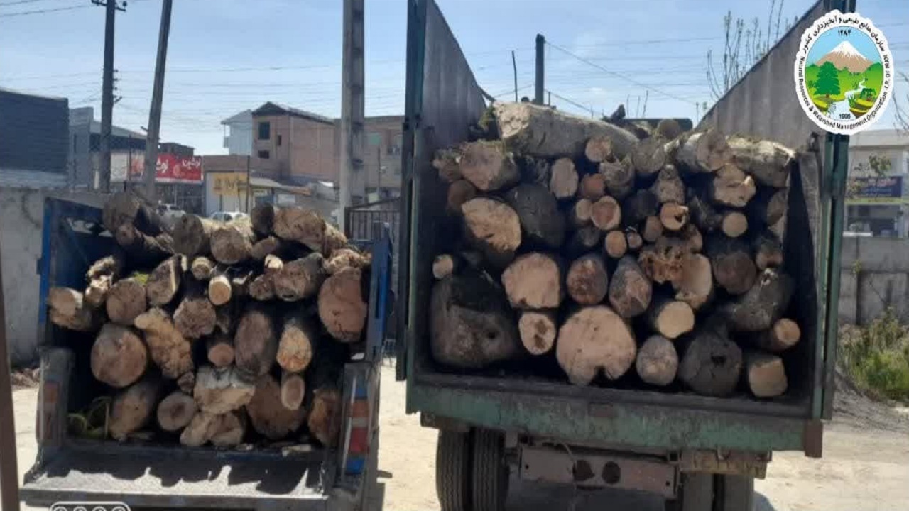 کشف چوب قاچاق در آمل