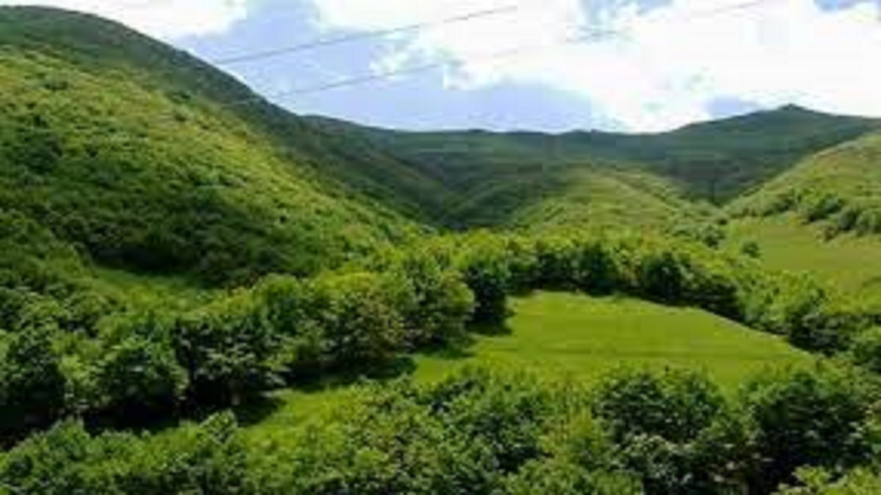 غنی‌سازی ۶۳ هکتار از جنگل‌های استان اردبیل