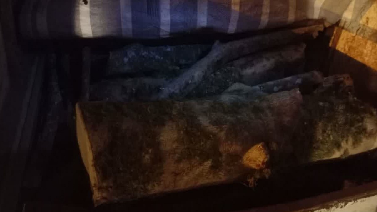 کشف و ضبط چوب آلات قاچاق جنگلی در شهرستان نکا