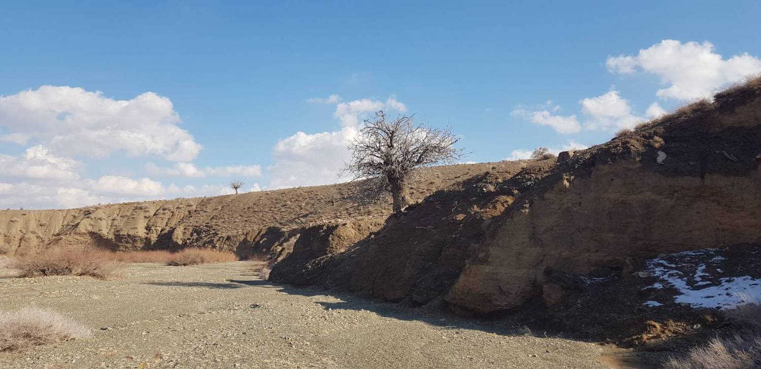 منظره بهاری نهبندان