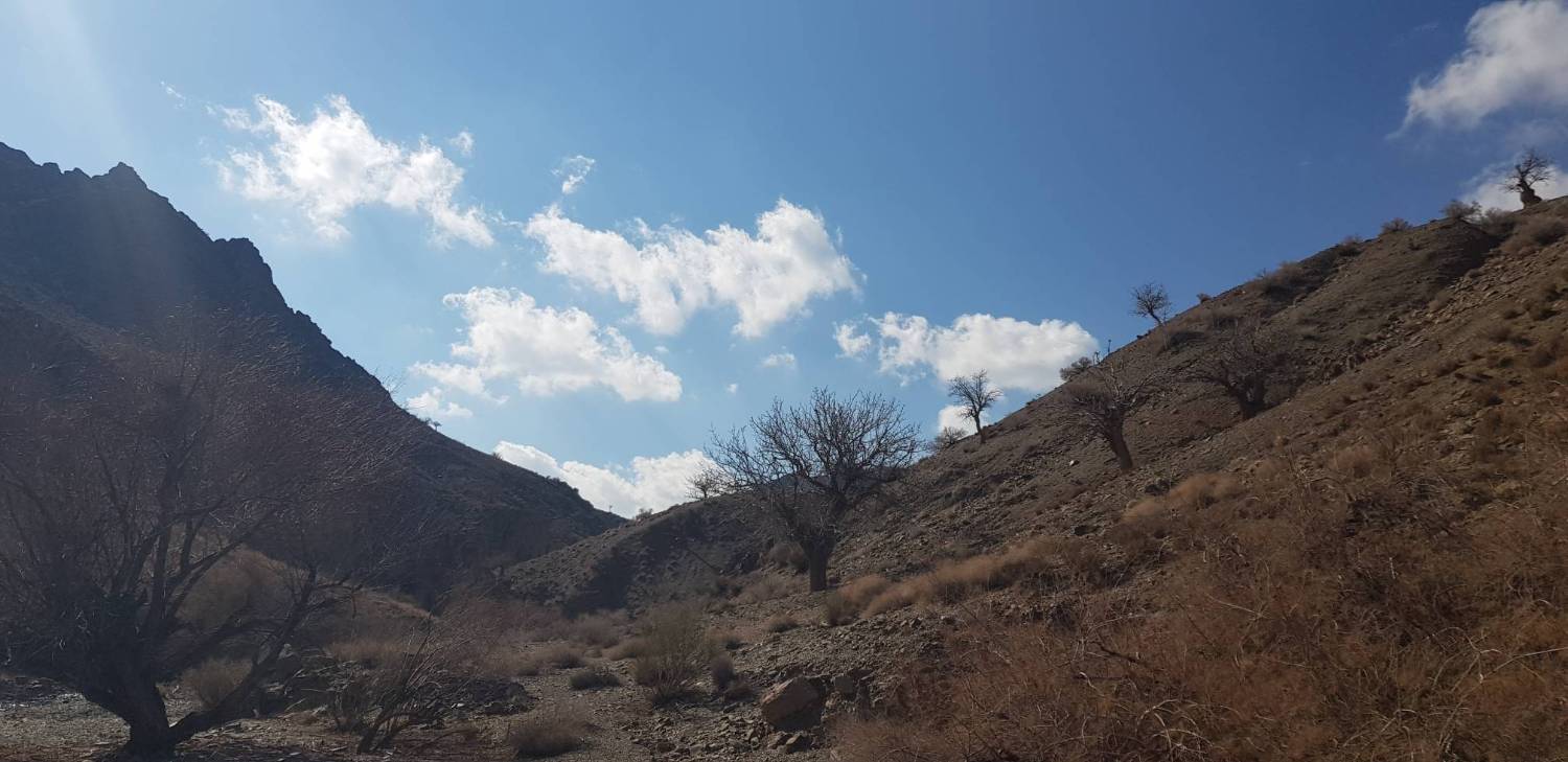جاذبه های گردشگری