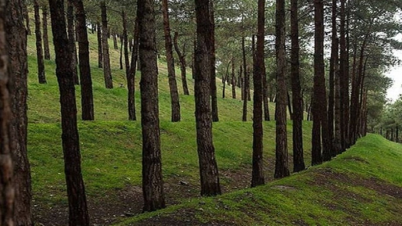 احداث ۵ هتل در بوستان‌های جنگلی تهران