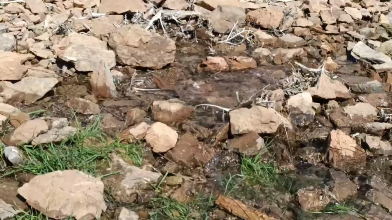 جاری شدن چشمه چهل ازنا در شهرویست خوانسار