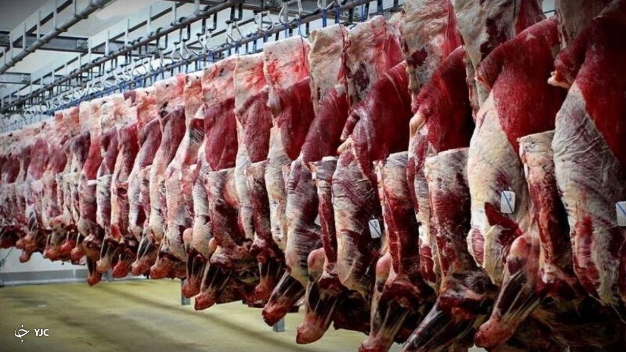 انتشار فیلم لاشه تک‌سمیان در بوکان/ لاشه‌ای در قصابی‌ها مشاهده نشده است