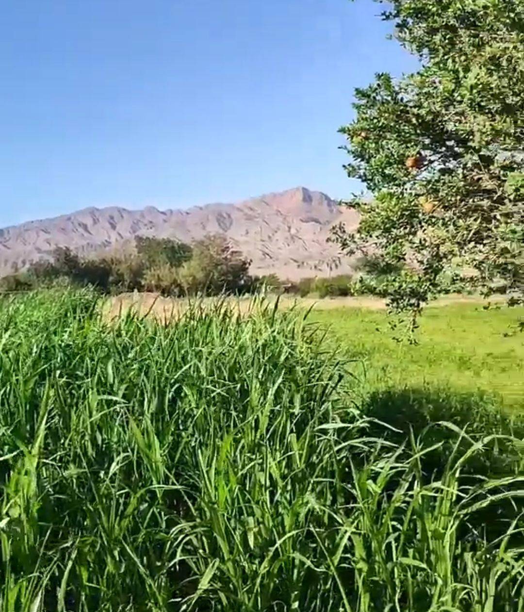 چشمه ای که گردشگران را جذب روستا می کند