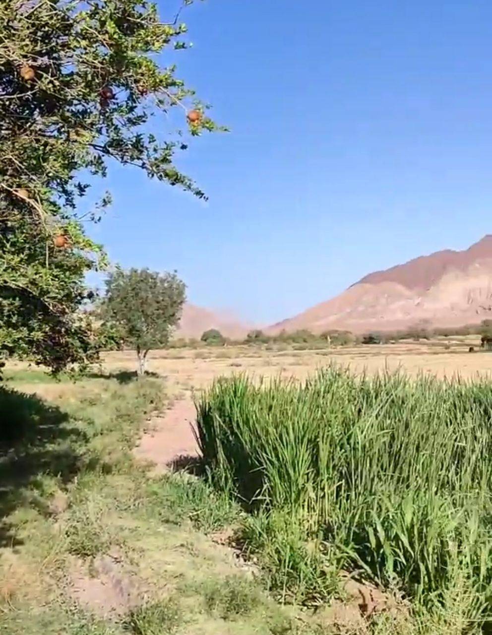 روستای گزک راور با چشمه سار زیبایش