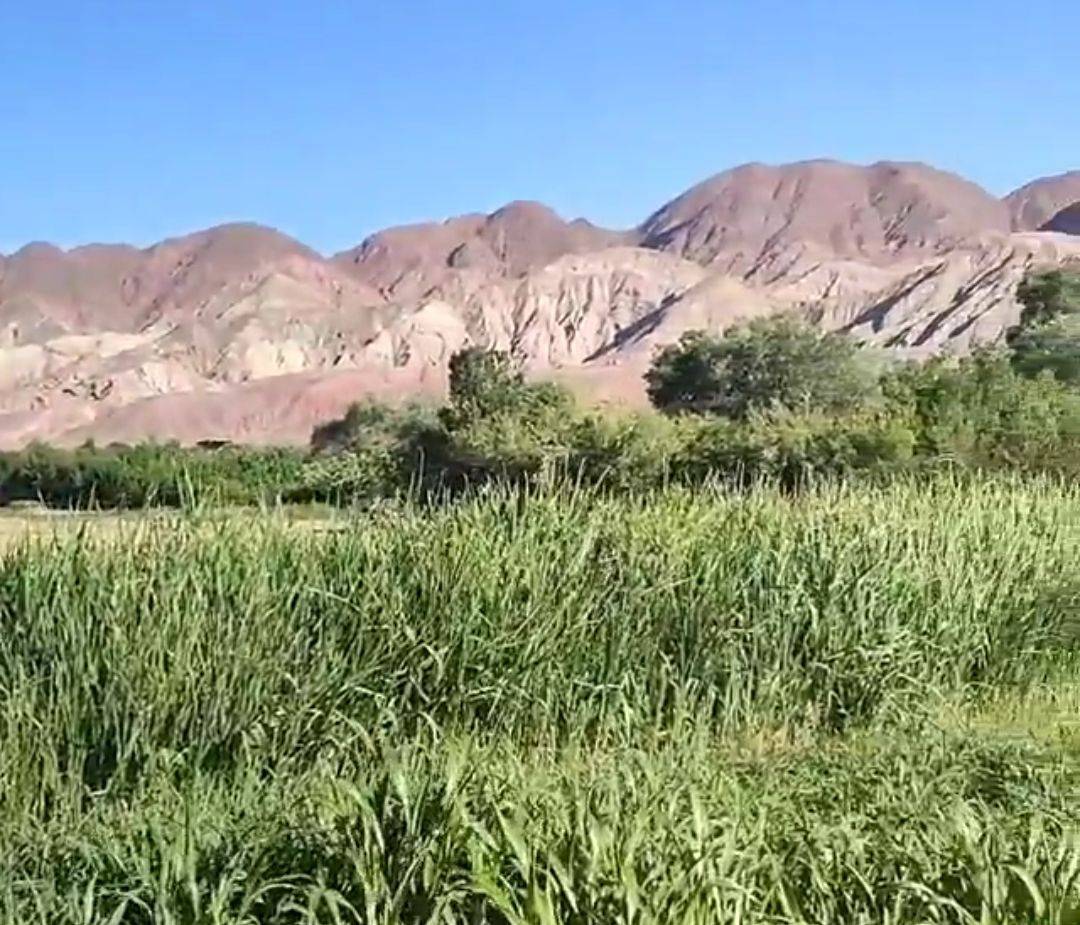 روستای گزک راور با چشمه سار زیبایش
