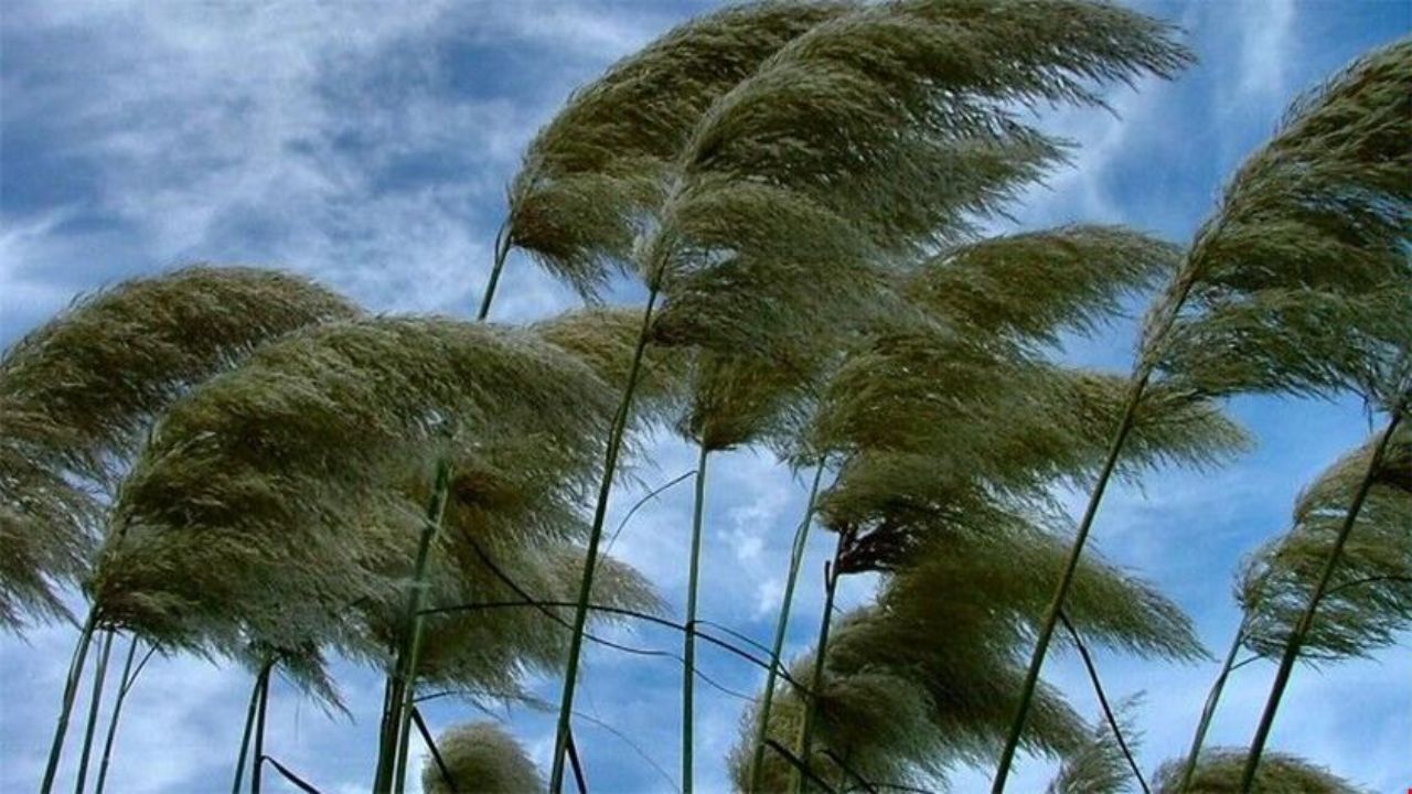 سرعت باد در استان مرکزی از ۸۰ کیلومتر بر ساعت فراتر رفت