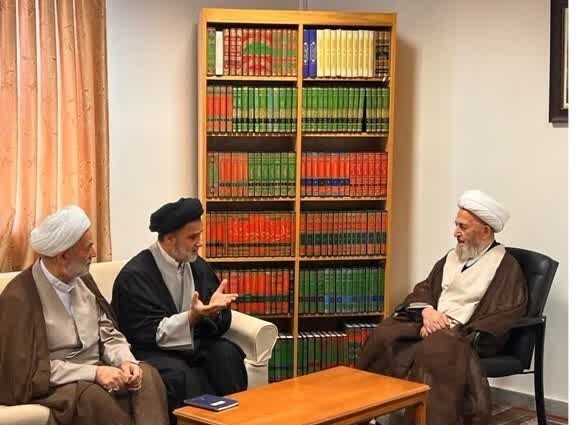 تاکید آیت الله سبحانی بر نظارت مستمر بر عملکرد ادارات دولتی