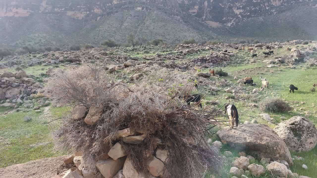 حفاظت از منابع طبیعی
