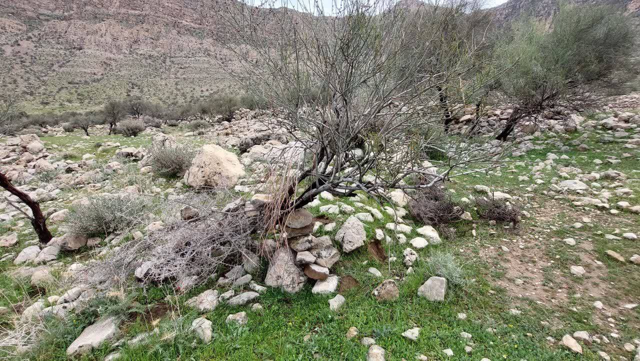 جاذبه های طبیعی