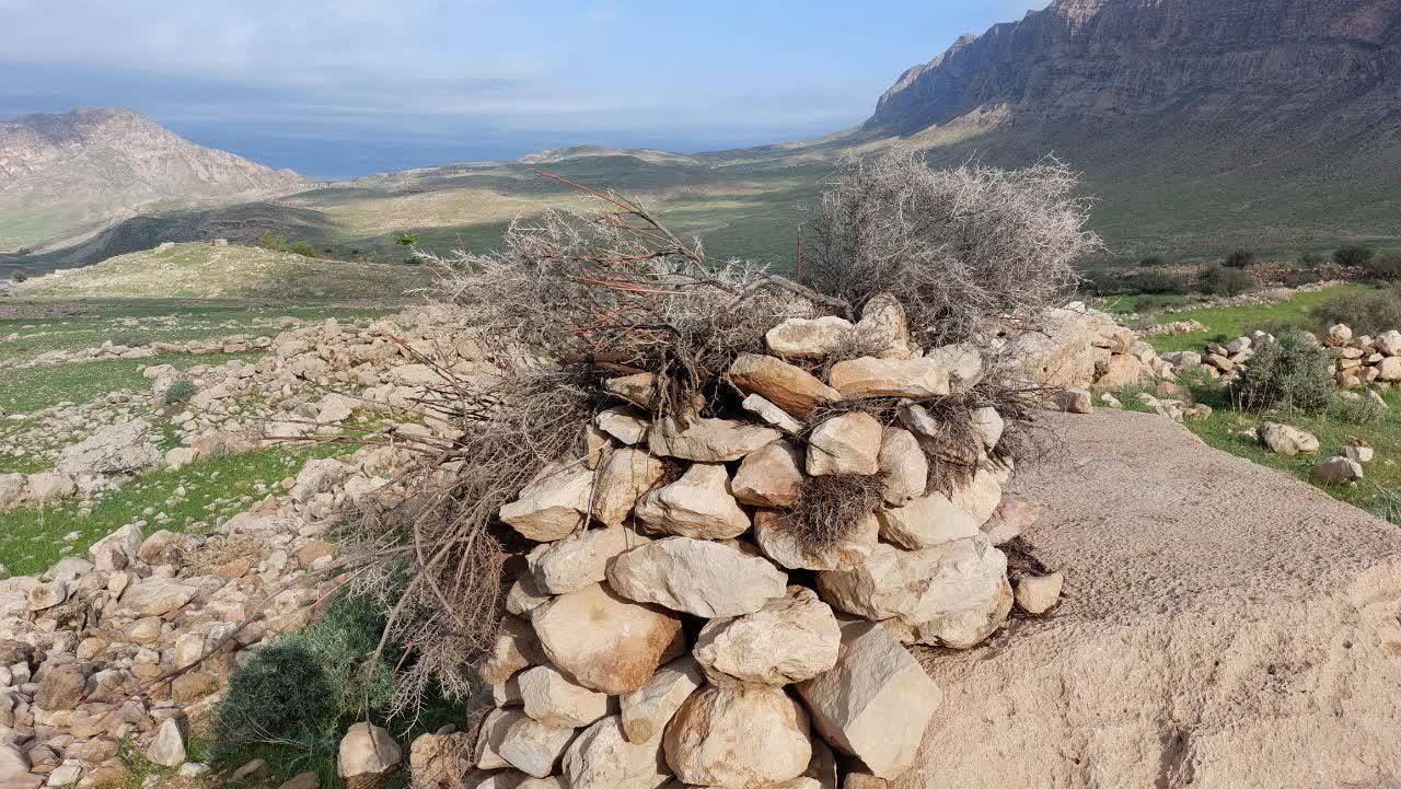 طبیعت
