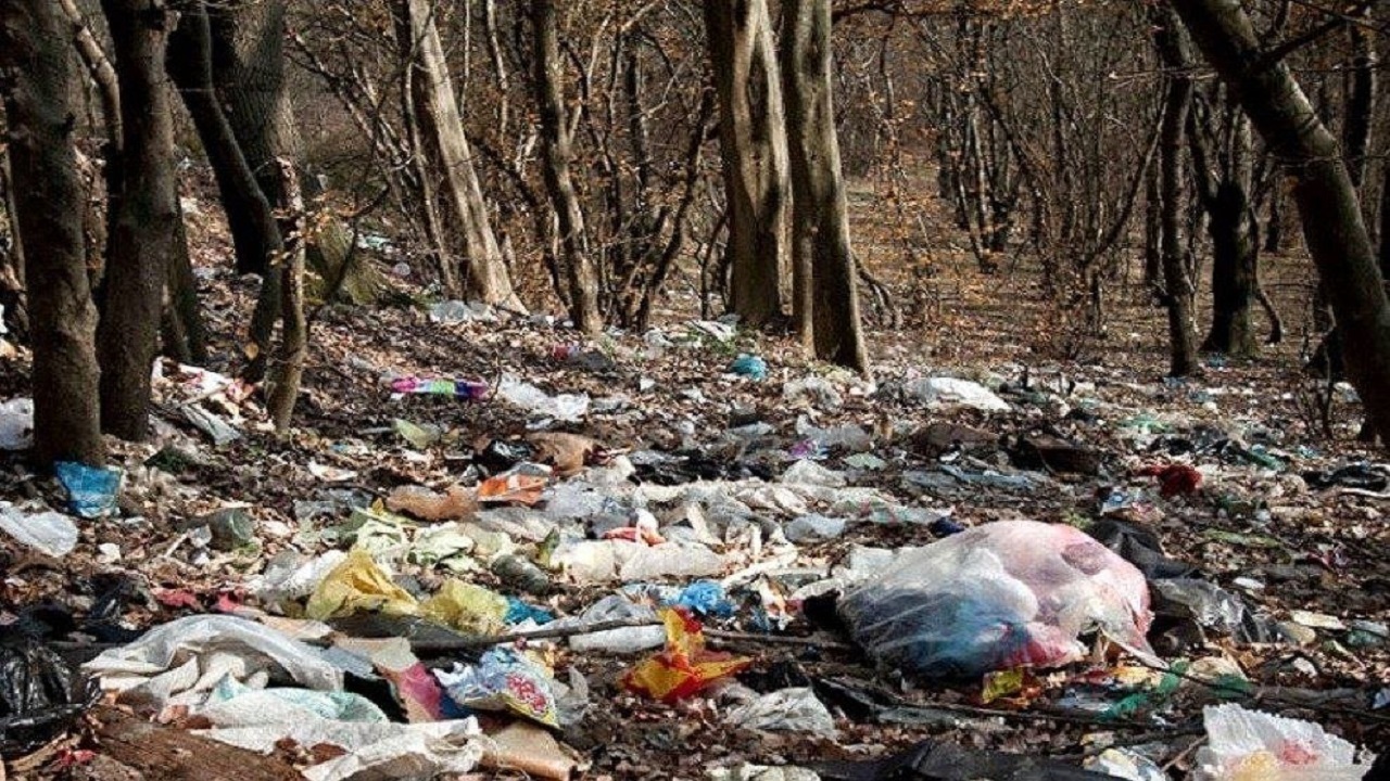 زباله‌ها بلای جان حیوانات + فیلم