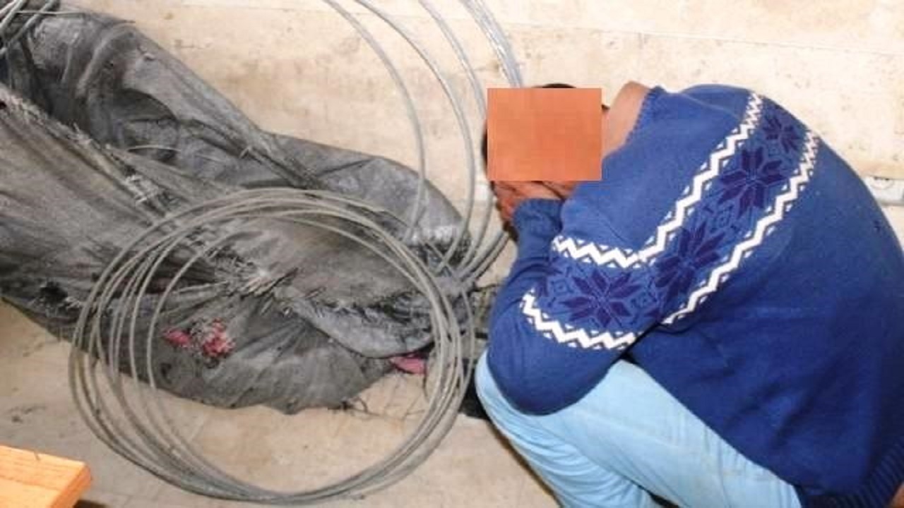 دستگیری سارق و کشف ۲۳ فقره سرقت در نوشهر