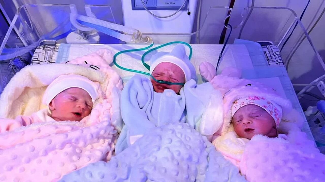 نوزادان سه قلو در زنجان به دنیا آمدند