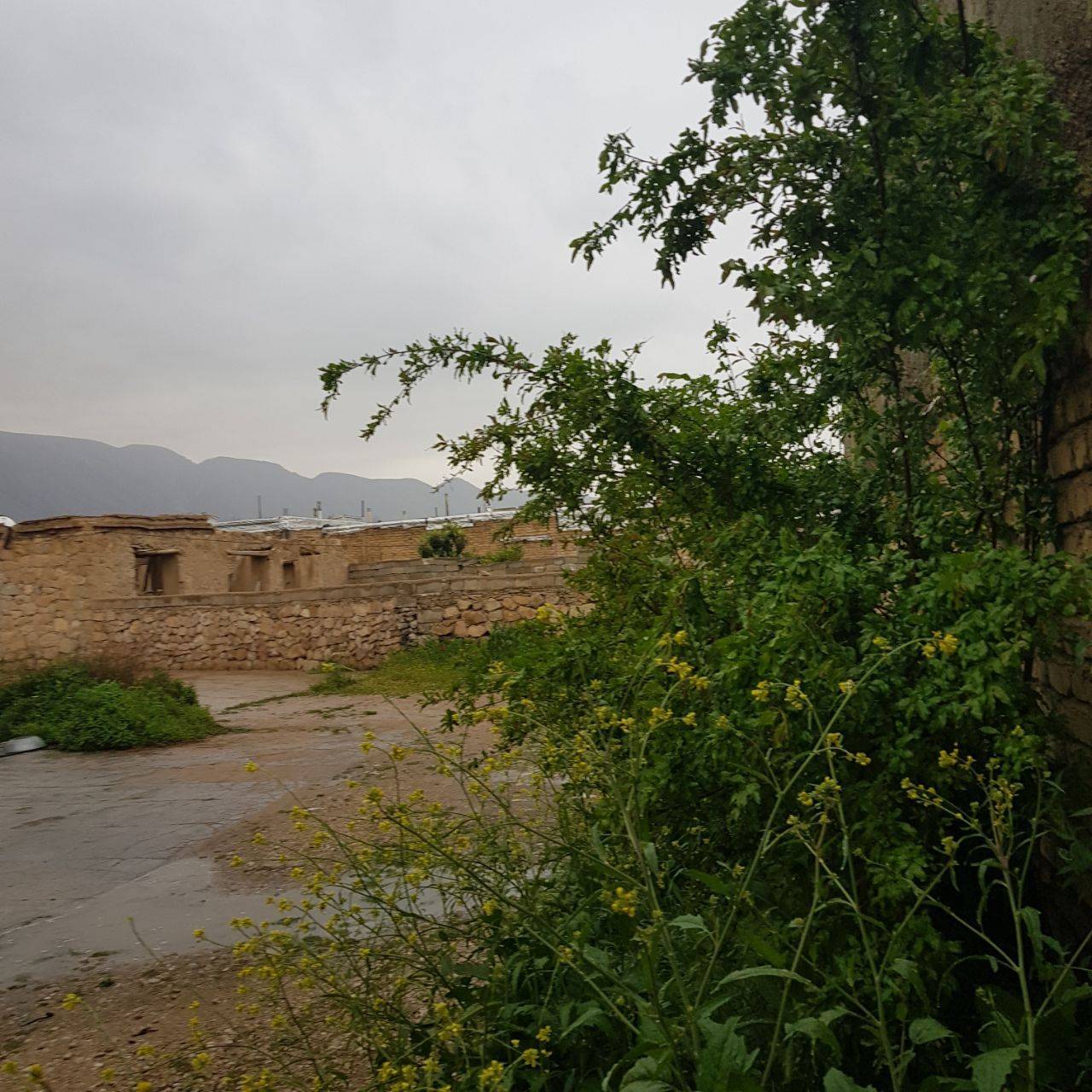 طبیعت روستا