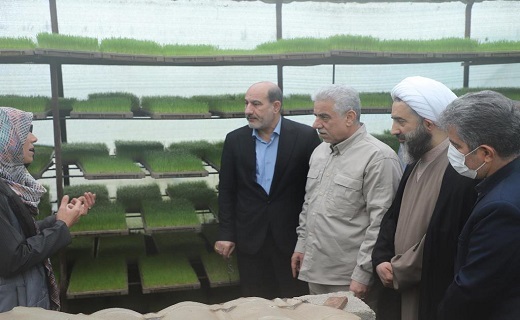 آغاز نشاء مکانیزه شالیزار&zwnj;های گیلان