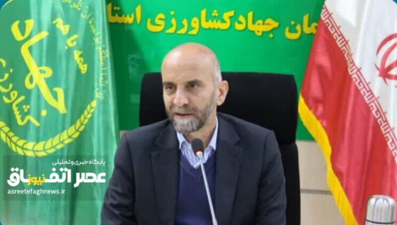 تولید گوشت مرغ در لرستان به ۱۰۰ هزار تن می‌رسد