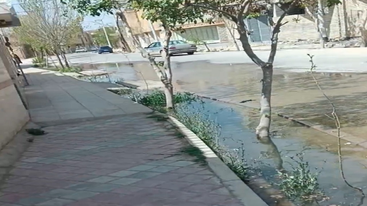 نحوه آبیاری درختان و هدر رفت آب در برخی از معابر دولت آباد + فیلم