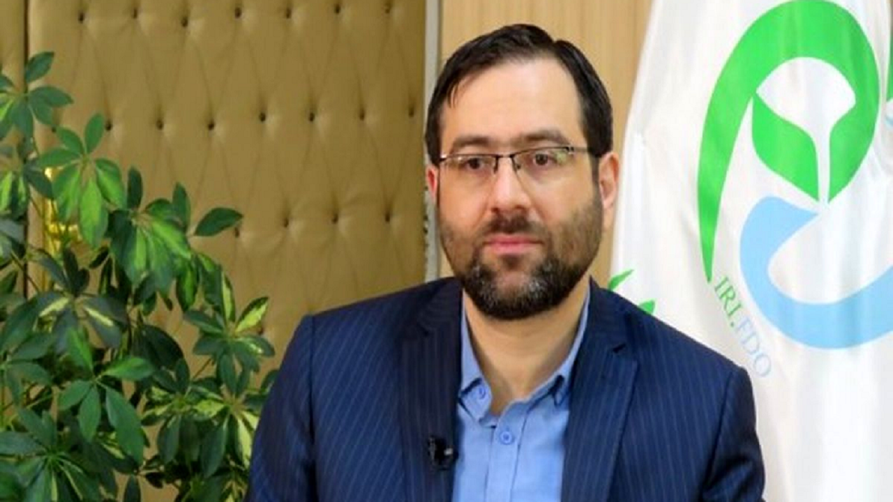 فعالیت سکو‌های اینترنتی فقط در حوزه «حمل دارو» و با نظارت سازمان غذا و دارو