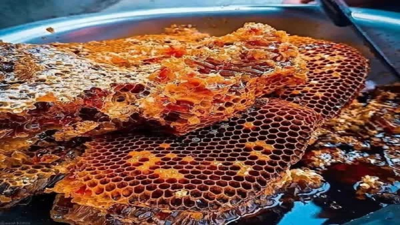نجف‌آباد میزبان مسابقه ملی عسل طبیعی می‌شود
