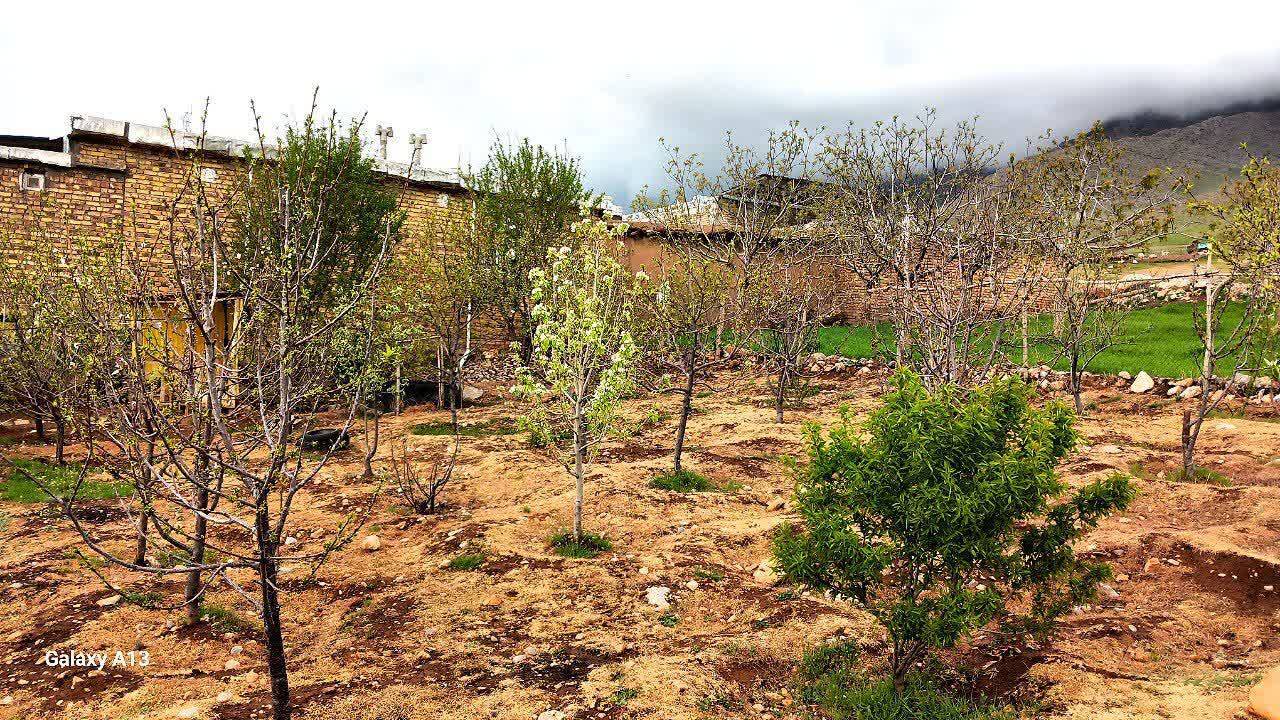 طبیعت روستای حصار بعد از بارندگی طبیعت روستای حصار بعد از بارندگی
