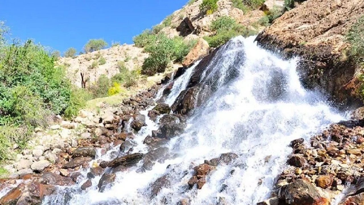 صدای خوش پرندگان در میان چشمه سار‌های روستای آلیله پیچید + فیلم