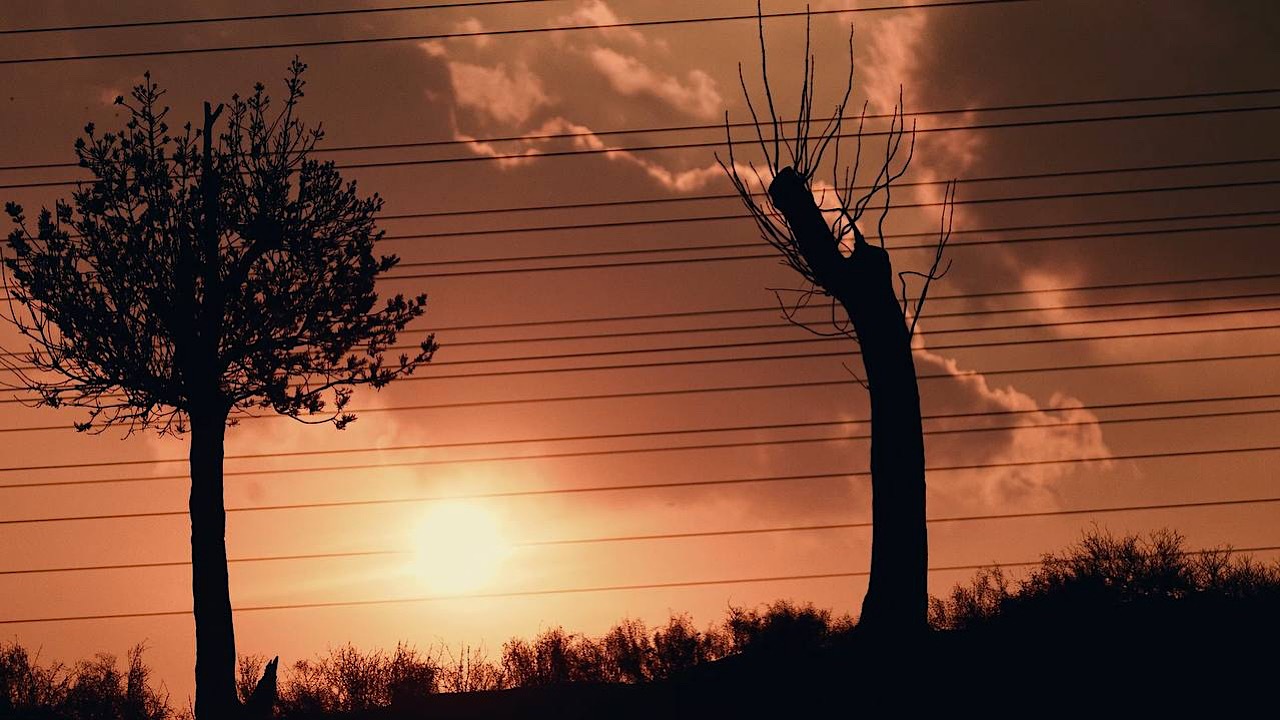 آسیب‌شناسی کار خیر در مستند «محروم از خورشید»