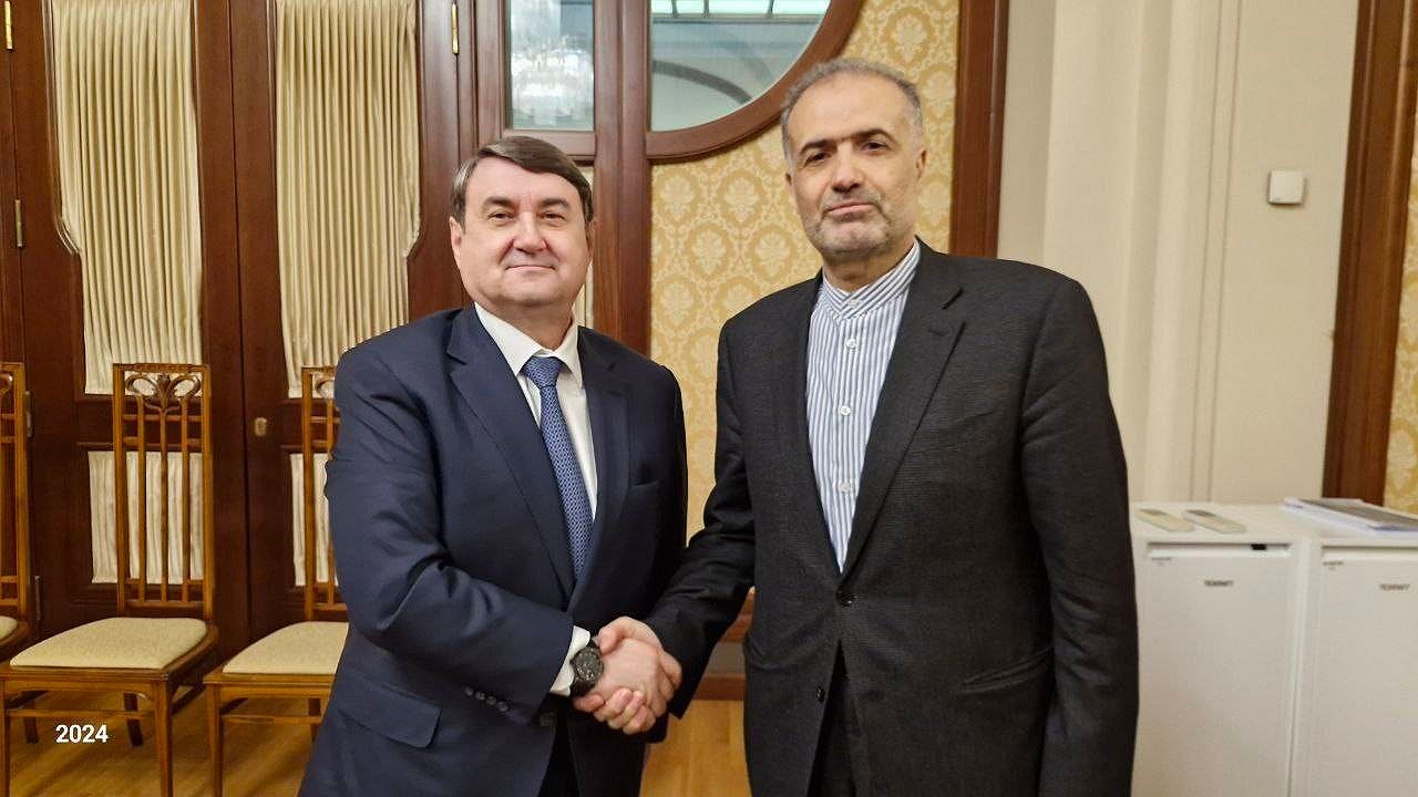 دیدار سفیر ایران با دستیار رئیس‌جمهور روسیه