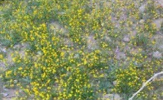 روستای بمرود شهرستان زیرکوه