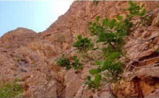 روستای بمرود شهرستان زیرکوه