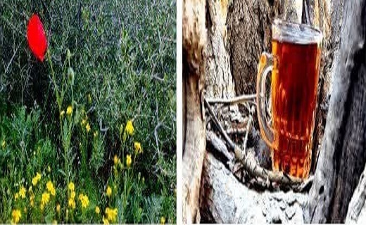 روستای بمرود شهرستان زیرکوه