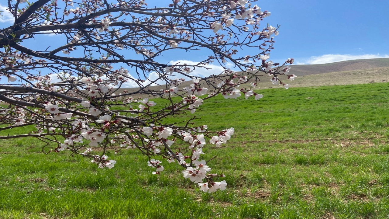 شهرکرد خنک ترین مرکز استان در کشور است