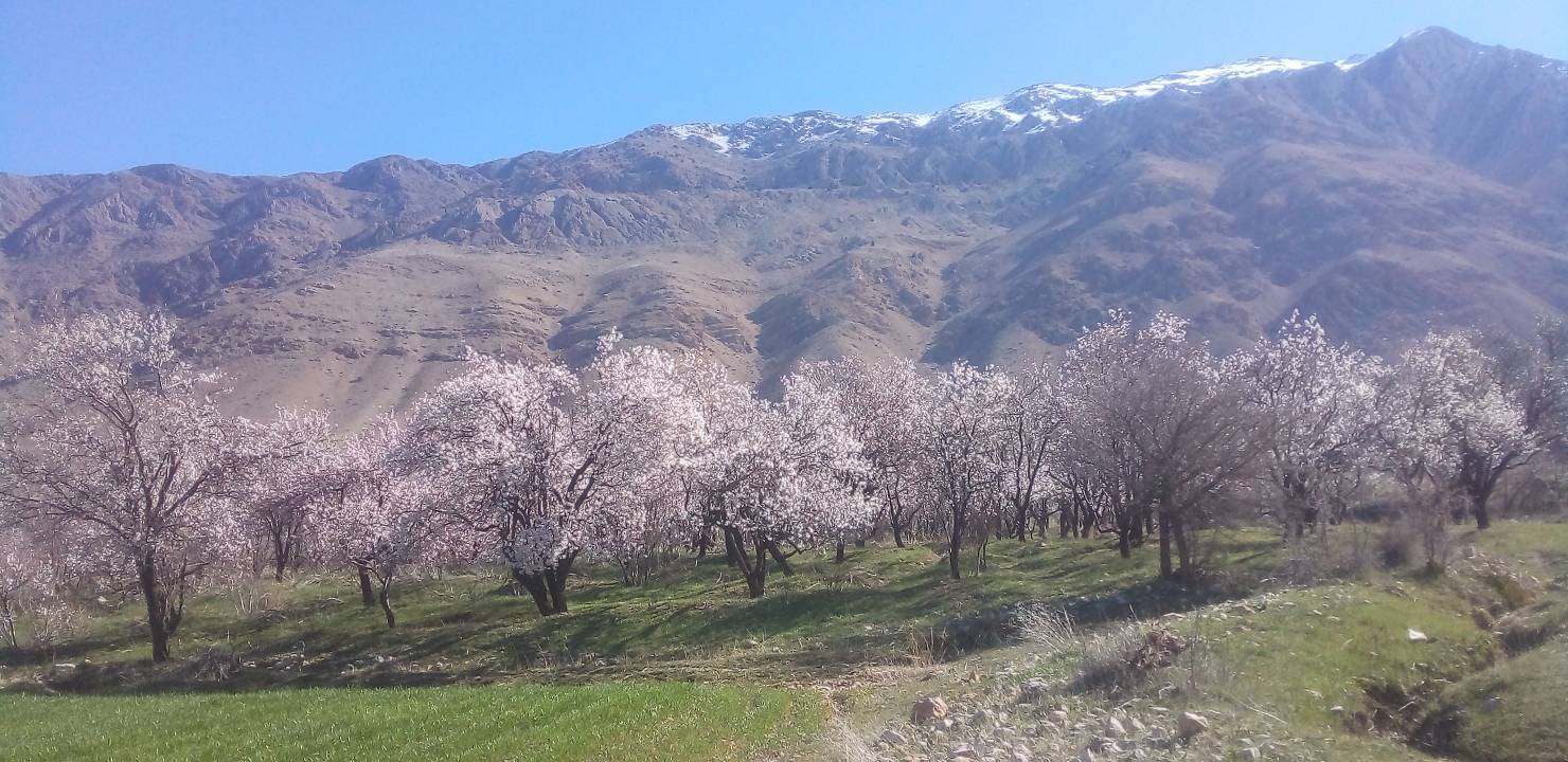 طبیعت بهاری روستای ناغان طبیعت بهاری روستای ناغان