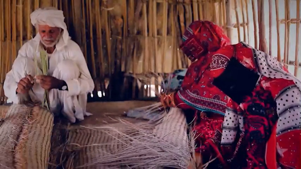 شور حیات در سیستان و بلوچستان + نماهنگ