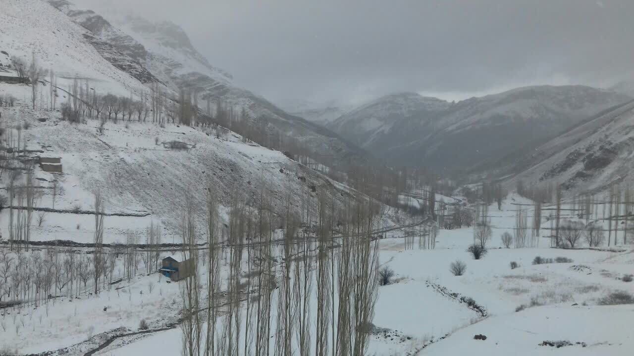 طبیعت سفید پوش