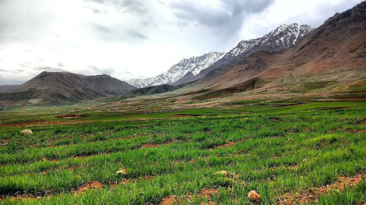 طبیعت بهاری روستای حصار در قالب تصاویر