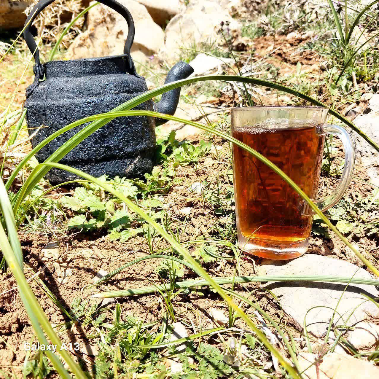 چای آتشی در طبیعت